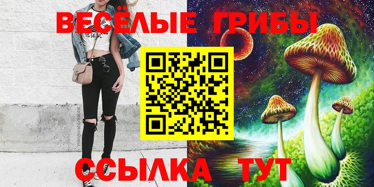 Волжский  Галлюциногенные грибы мухоморы  хочу   Вход с VPN  Псилоцибиновые грибы MAGIC MUSHROOMS 